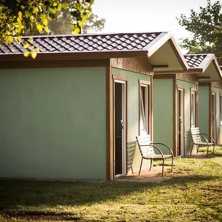 Marina Tynec N. L. - Kemp *