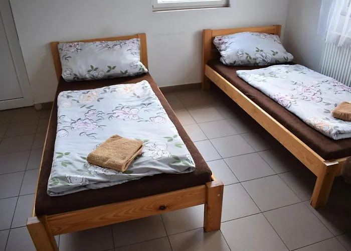 Marina Tynec N. L. - *