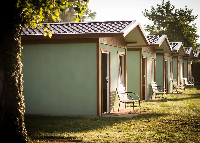 Marina Tynec N. L. - *